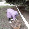 Субботник