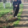 Субботник