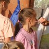 Страна отмечает День России