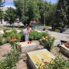 «Скорбящая мать»